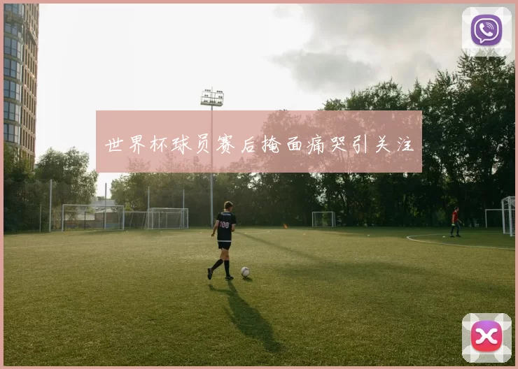 世界杯球员赛后掩面痛哭引关注