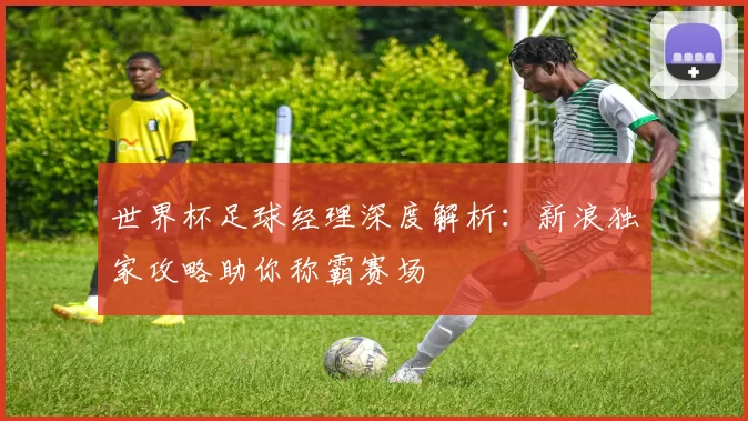 世界杯足球经理深度解析：新浪独家攻略助你称霸赛场