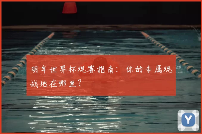 明年世界杯观赛指南:你的专属观战地在哪里?