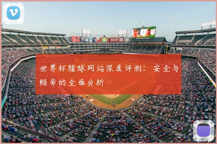 世界杯赌球网站深度评测：安全与赔率的全面分析