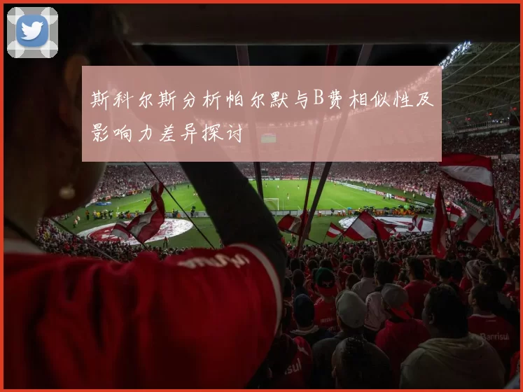 斯科尔斯分析帕尔默与B费相似性及影响力差异探讨
