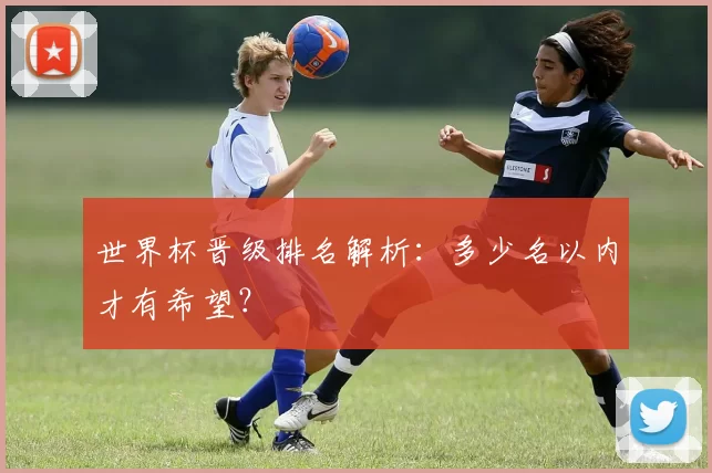 世界杯晋级排名解析：多少名以内才有希望？