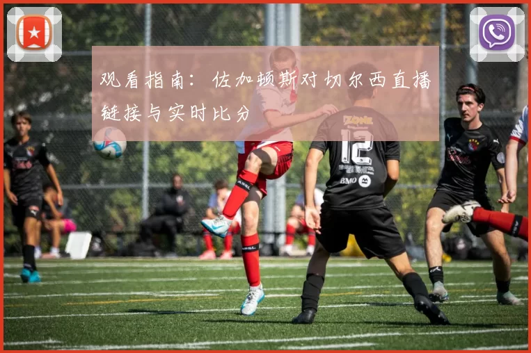 观看指南：佐加顿斯对切尔西直播链接与实时比分