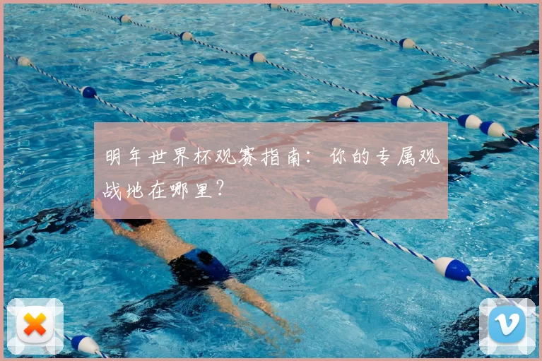 明年世界杯观赛指南:你的专属观战地在哪里?