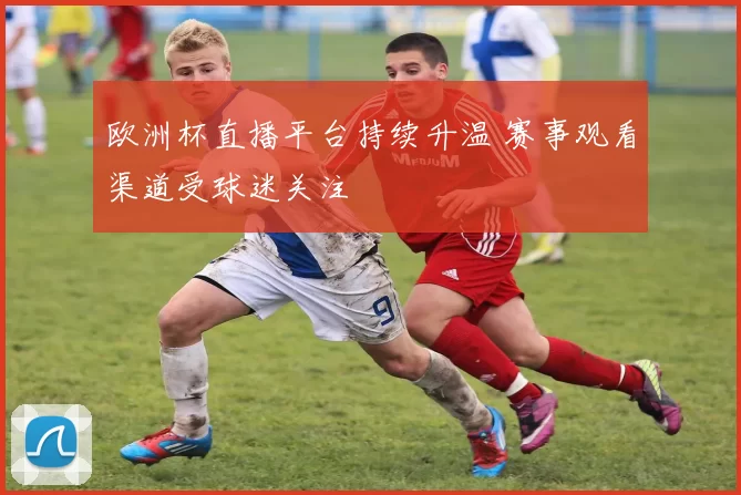 欧洲杯直播平台持续升温 赛事观看渠道受球迷关注