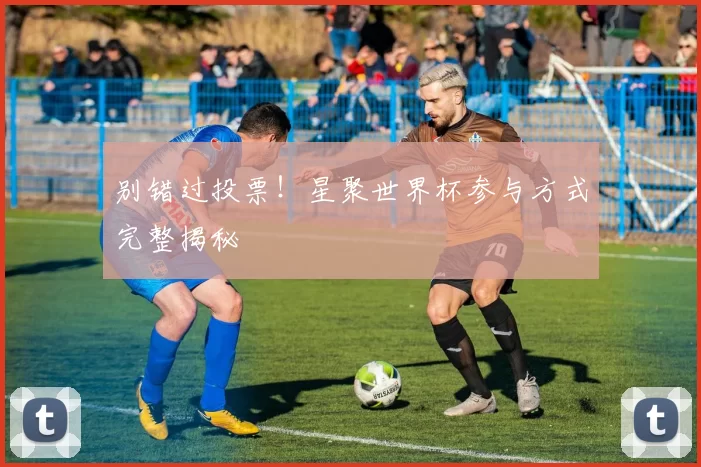 别错过投票！星聚世界杯参与方式完整揭秘