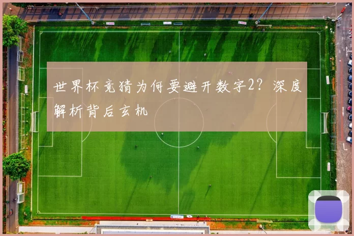 世界杯竞猜为何要避开数字2？深度解析背后玄机