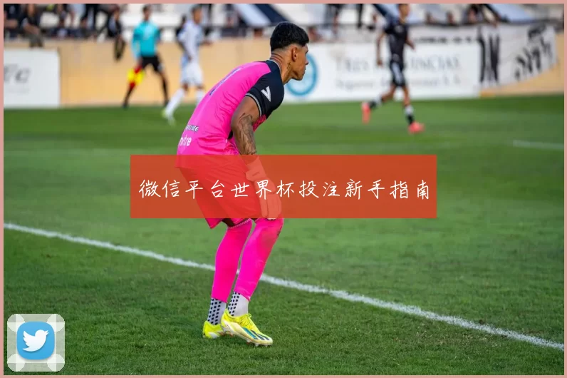 微信平台世界杯投注新手指南