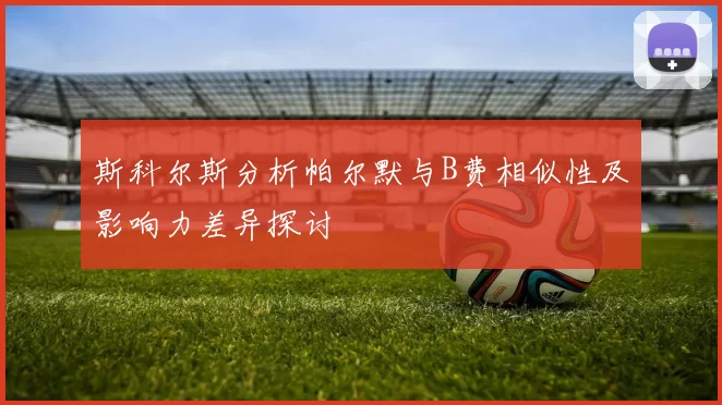 斯科尔斯分析帕尔默与B费相似性及影响力差异探讨