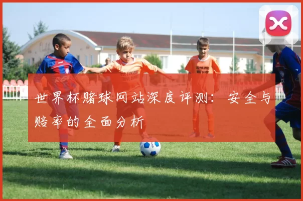 世界杯赌球网站深度评测:安全与赔率的全面分析