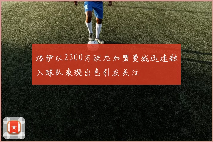 格伊以2300万欧元加盟曼城迅速融入球队表现出色引发关注