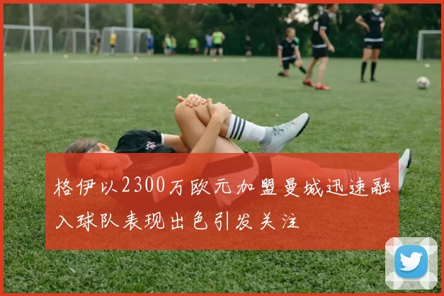 格伊以2300万欧元加盟曼城迅速融入球队表现出色引发关注