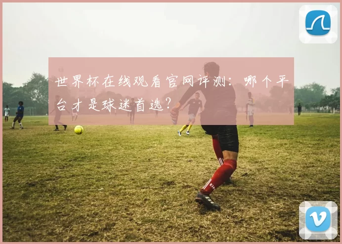 世界杯在线观看官网评测：哪个平台才是球迷首选？